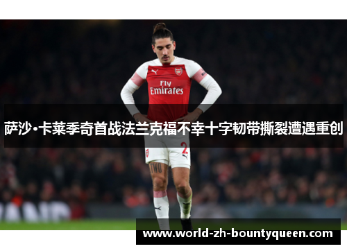 萨沙·卡莱季奇首战法兰克福不幸十字韧带撕裂遭遇重创
